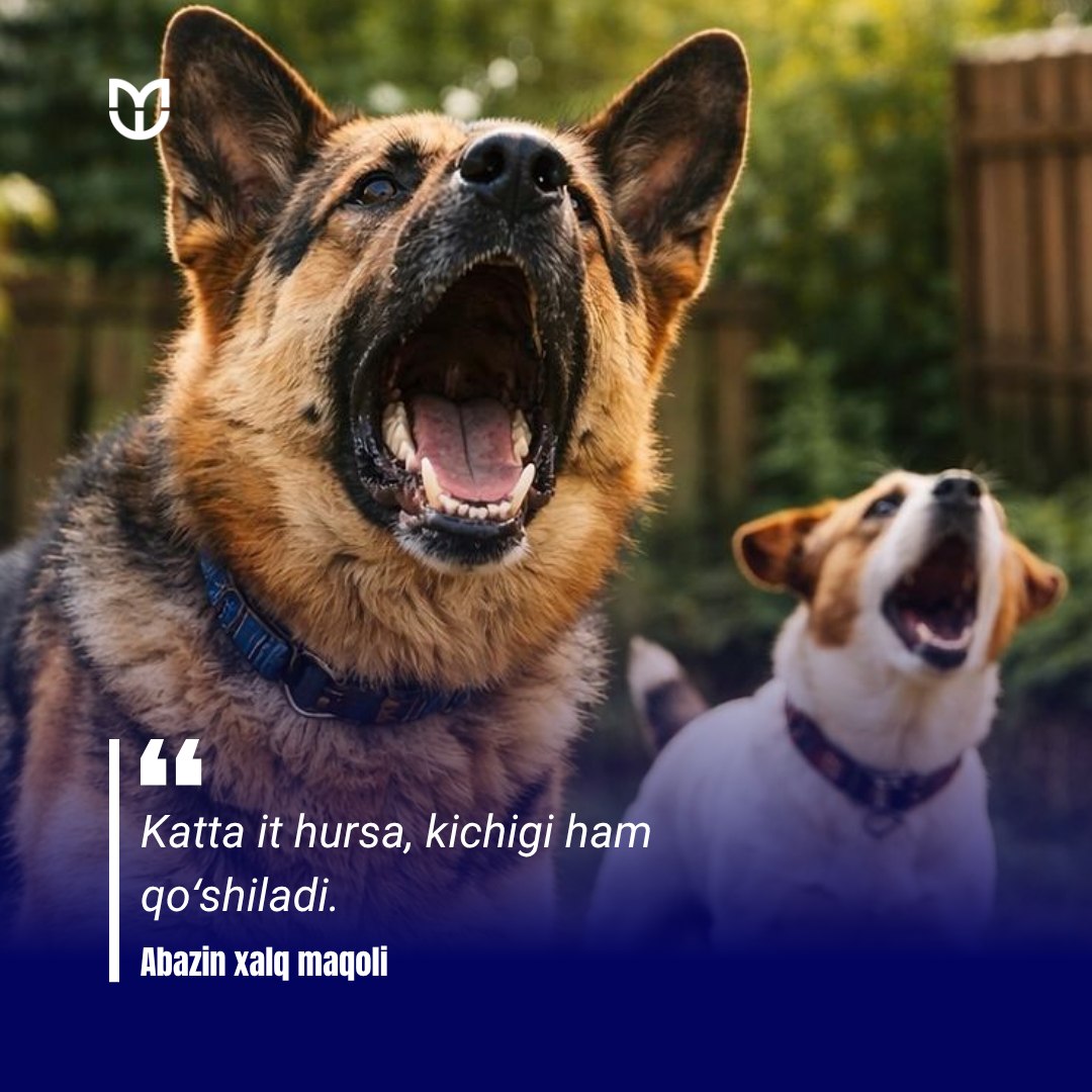 #Iqtibos