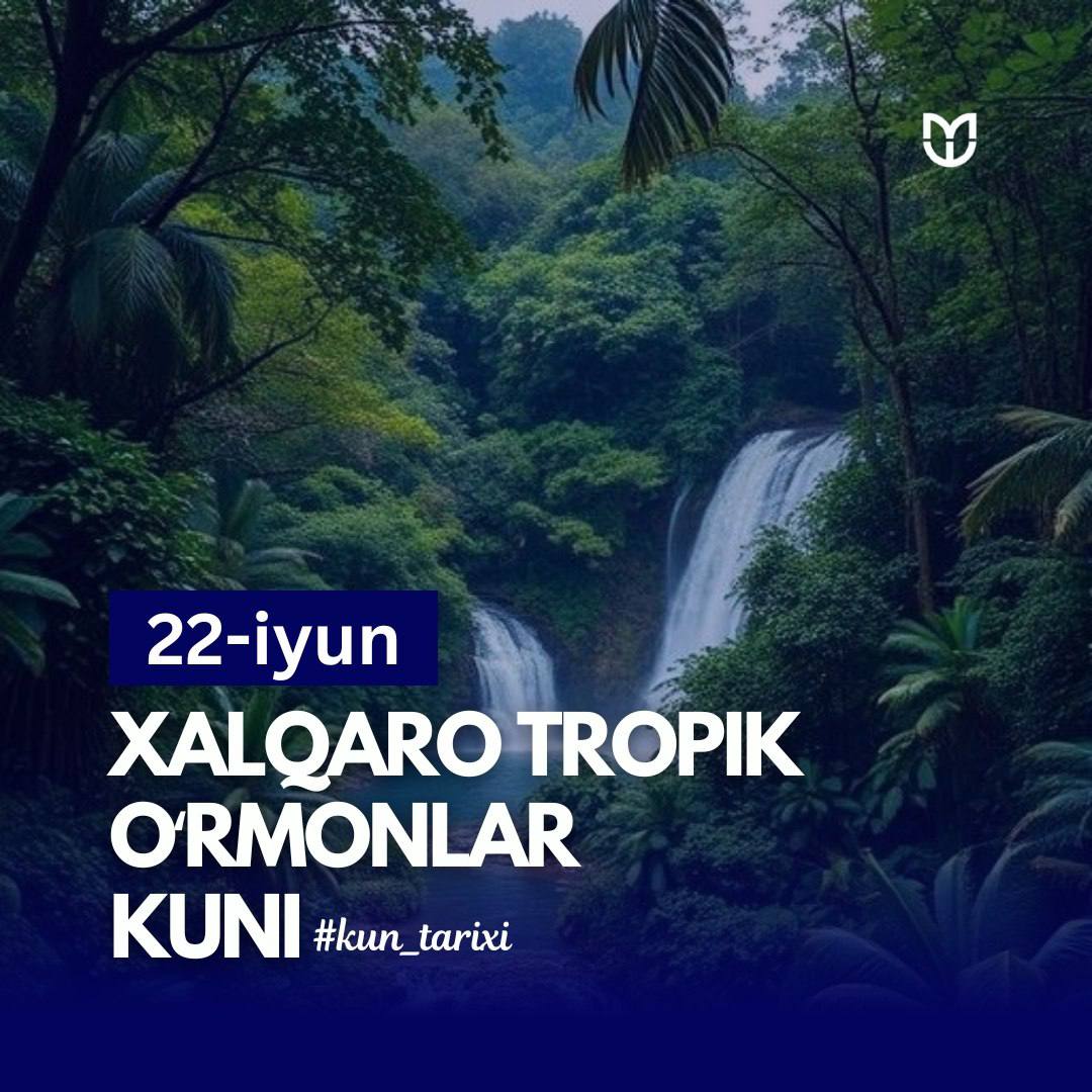 Amazon: kashf etilmagan olam